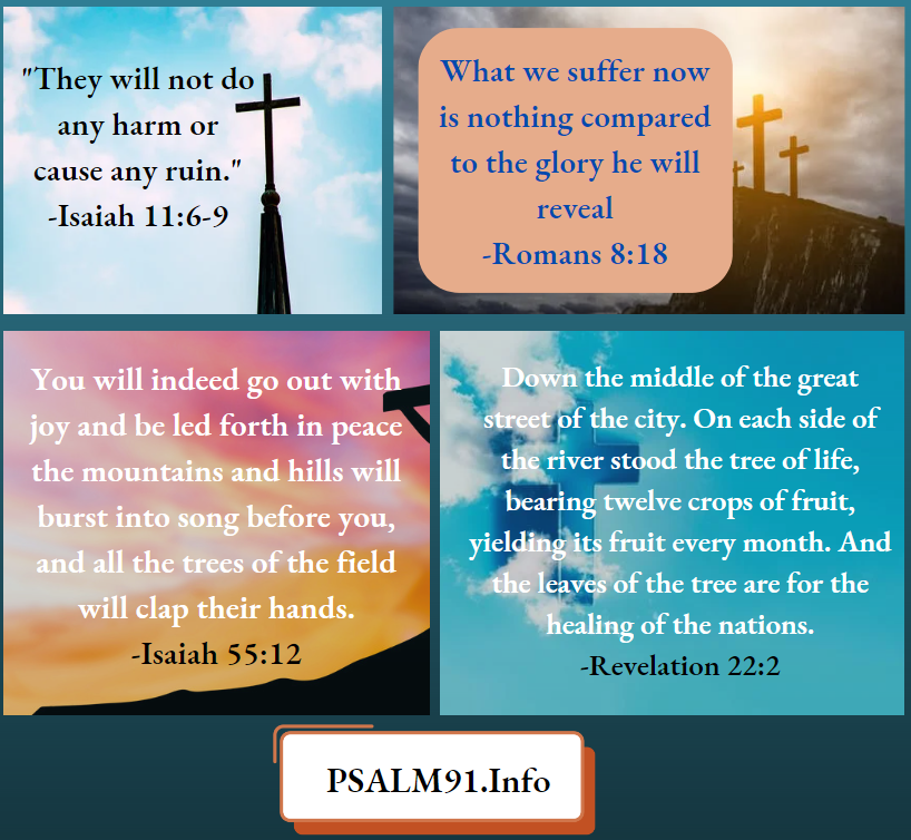Romans 8-18