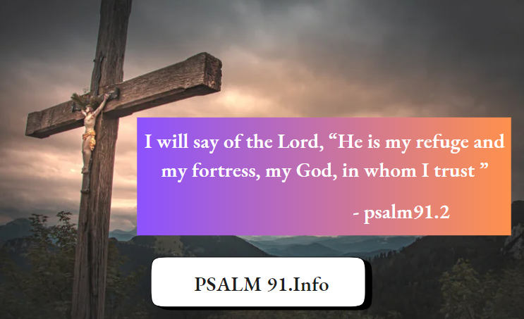 Say Of The Lord