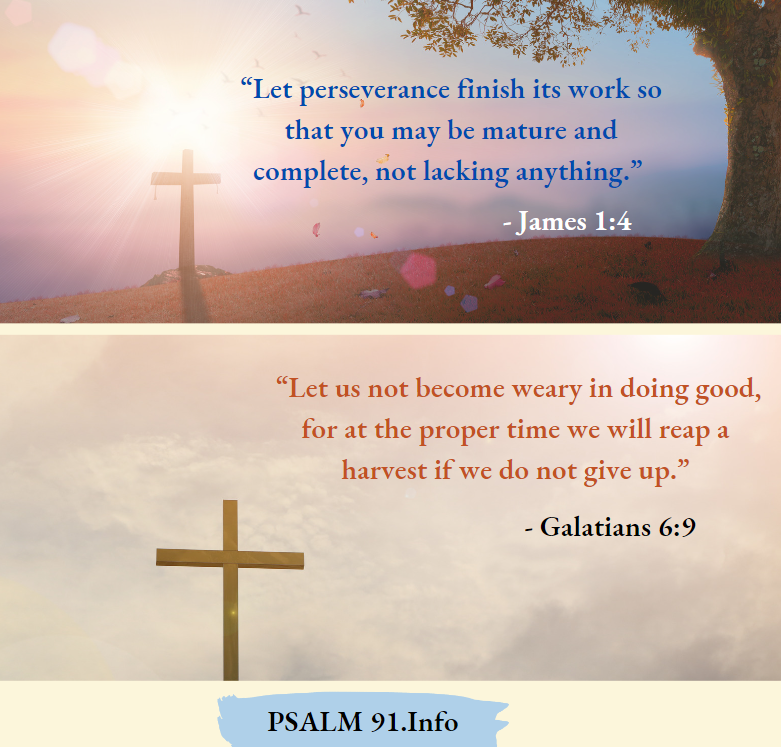 James 1-4 And Galatians 6-9