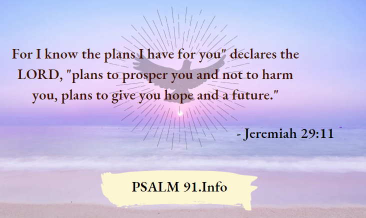 Jeremiah 29-11