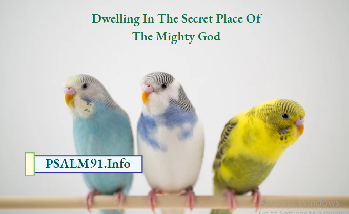 Dwelling In The Secret Place
